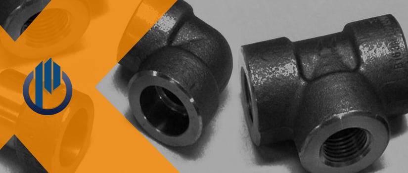 Alloy Steel Forged Fittings