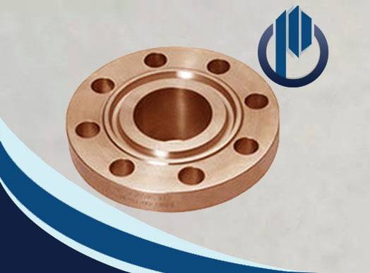 Copper Nickel Ring Type Joint Flanges